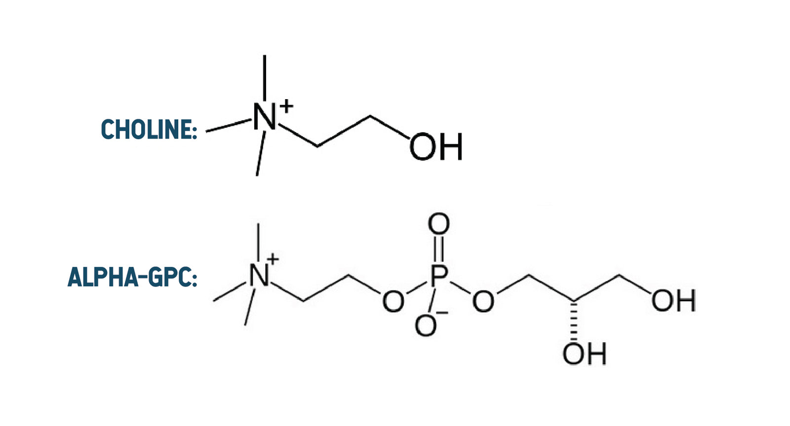 Unlocking the Power of Mindtality: A Deep Dive into Alpha GPC and Choline